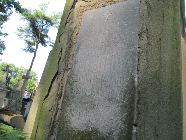 Julian Korol 1881 Tarnów - Grobonet - Wyszukiwarka osób pochowanych