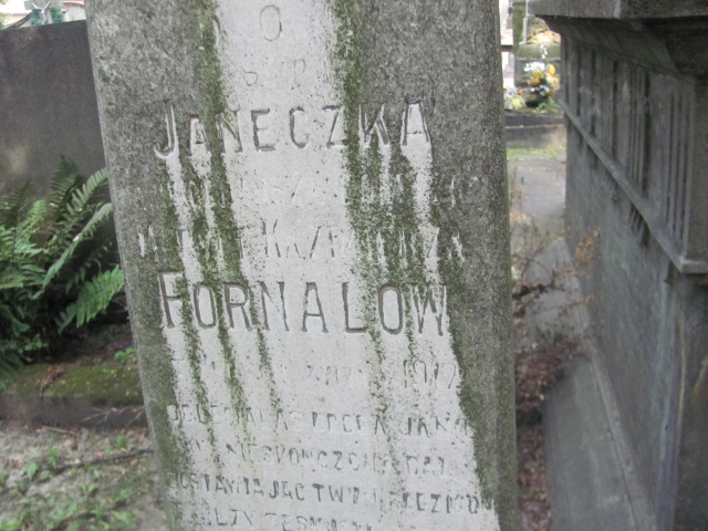 Małgorzata Fornal Tarnów - Grobonet - Wyszukiwarka osób pochowanych