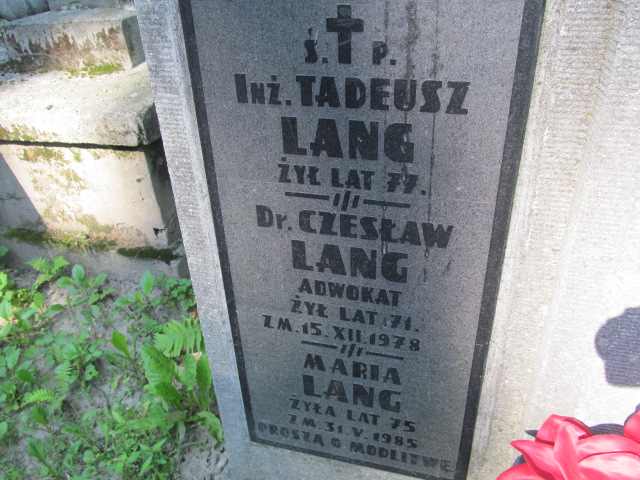 Czesław Lang Tarnów - Grobonet - Wyszukiwarka osób pochowanych