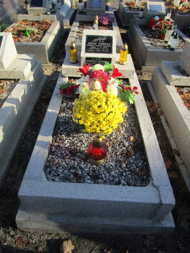 Józef Curyło Tarnów - Grobonet - Wyszukiwarka osób pochowanych