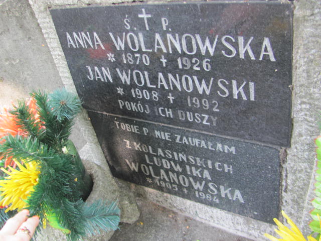Anna Wolanowska 1869 Tarnów - Grobonet - Wyszukiwarka osób pochowanych