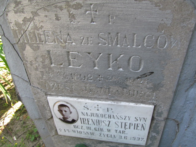 Maria Cierpich Tarnów - Grobonet - Wyszukiwarka osób pochowanych