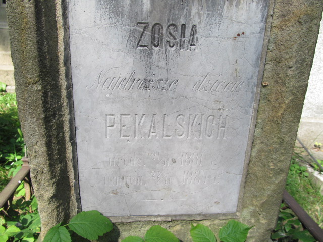 Zofia Piekalska 1881 Tarnów - Grobonet - Wyszukiwarka osób pochowanych