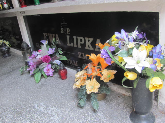 Ewa Lipka Tarnów - Grobonet - Wyszukiwarka osób pochowanych