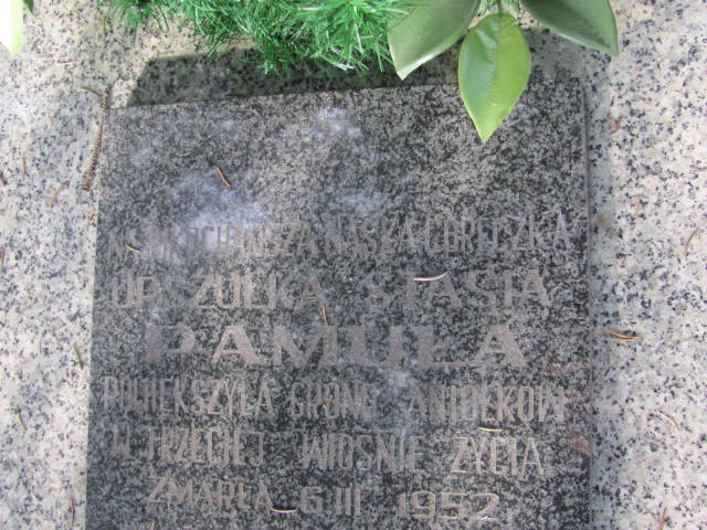 Stanisława Pamuła Tarnów - Grobonet - Wyszukiwarka osób pochowanych