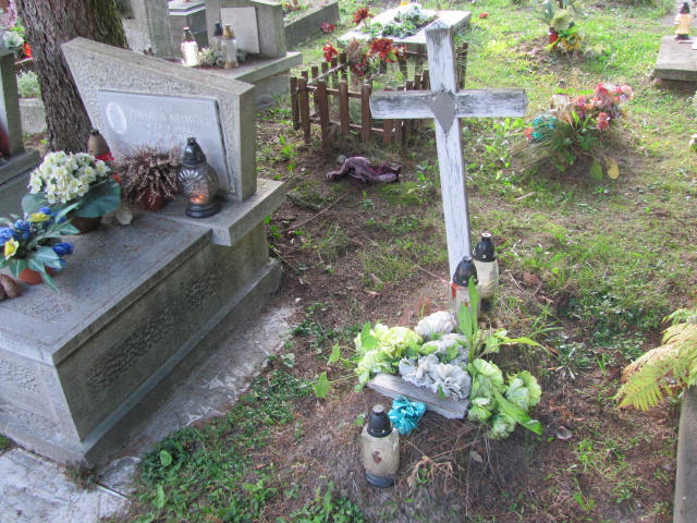 Agata Ciołek Tarnów - Grobonet - Wyszukiwarka osób pochowanych