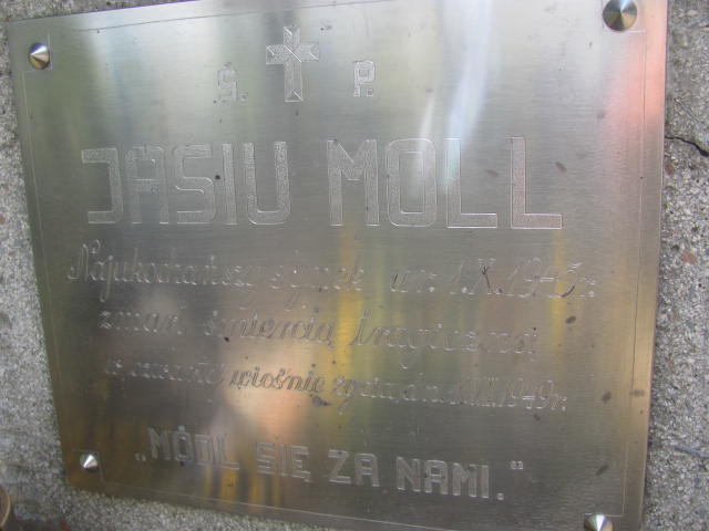 Jan Moll 1945 Tarnów - Grobonet - Wyszukiwarka osób pochowanych