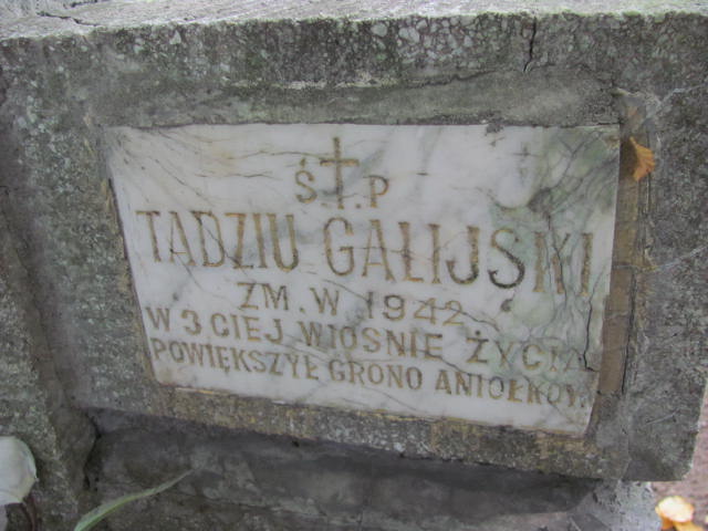 Tadeusz Galijski 1939 Tarnów - Grobonet - Wyszukiwarka osób pochowanych