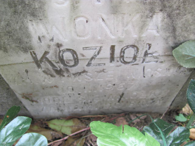 Aldona Kozioł 1946 Tarnów - Grobonet - Wyszukiwarka osób pochowanych