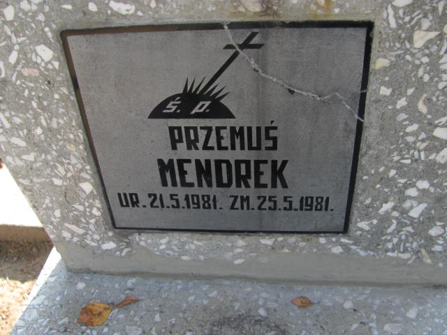 Przemysław Mendrek 1981 Tarnów - Grobonet - Wyszukiwarka osób pochowanych