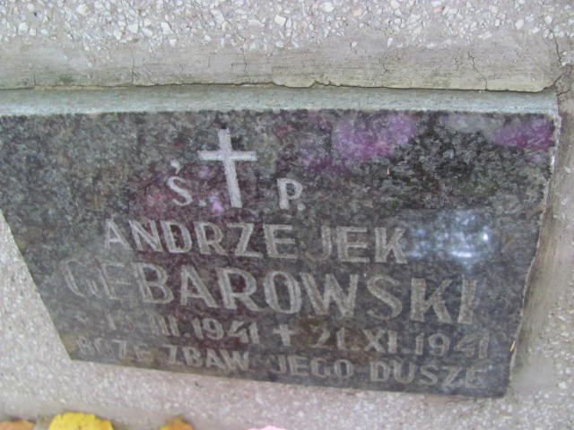 Andrzej Gębarowski 1941 Tarnów - Grobonet - Wyszukiwarka osób pochowanych