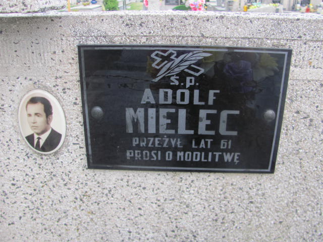Adolf Mielec Tarnów - Grobonet - Wyszukiwarka osób pochowanych