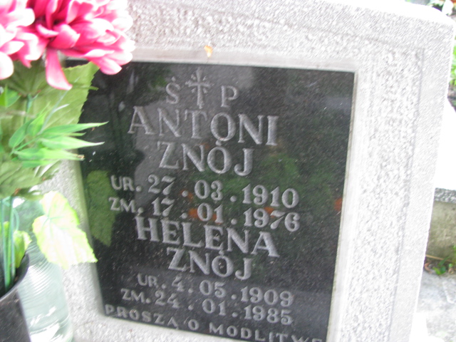 Antoni Znój 1910 Tarnów - Grobonet - Wyszukiwarka osób pochowanych