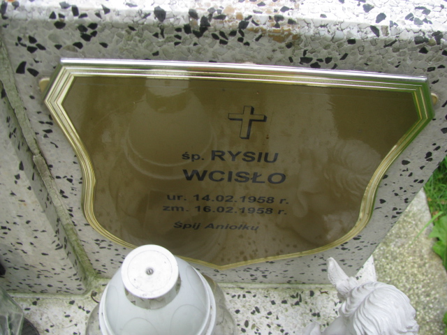 Ryszard Wcisło 1958 Tarnów - Grobonet - Wyszukiwarka osób pochowanych