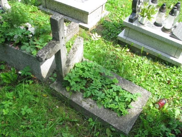 Dziecko Bochenek Tarnów - Grobonet - Wyszukiwarka osób pochowanych