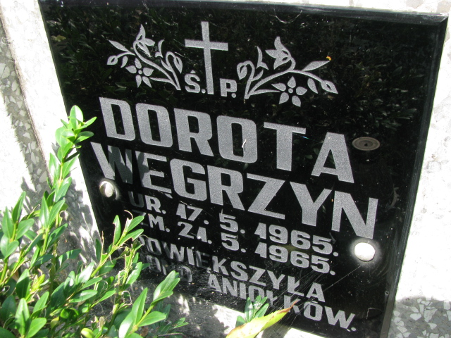 Dorota Węgrzyn 1965 Tarnów - Grobonet - Wyszukiwarka osób pochowanych
