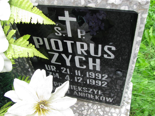 Piotr Zych 1992 Tarnów - Grobonet - Wyszukiwarka osób pochowanych