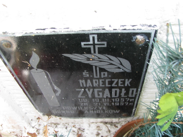 Marek Żygadło 1957 Tarnów - Grobonet - Wyszukiwarka osób pochowanych