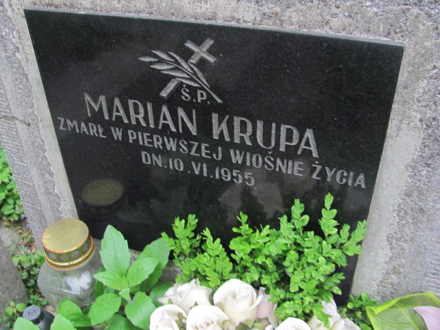 Marian Krupa Tarnów - Grobonet - Wyszukiwarka osób pochowanych