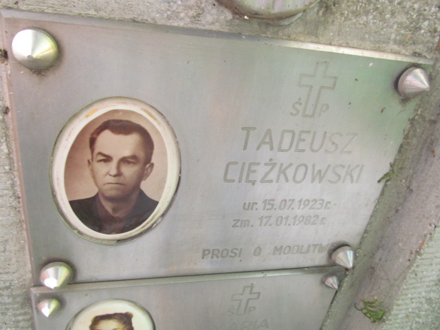 Maria Pachowicz Tarnów - Grobonet - Wyszukiwarka osób pochowanych