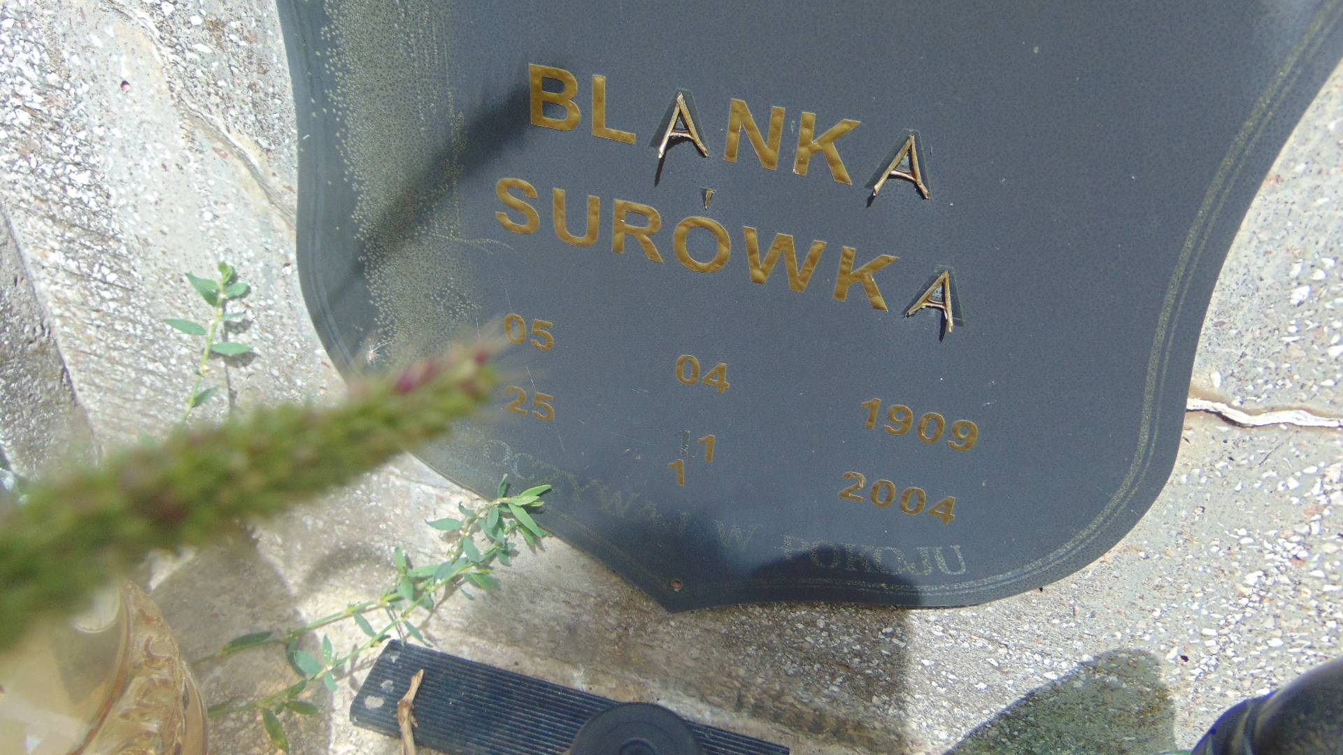 Blanka Surówka 1909 Tarnów - Grobonet - Wyszukiwarka osób pochowanych