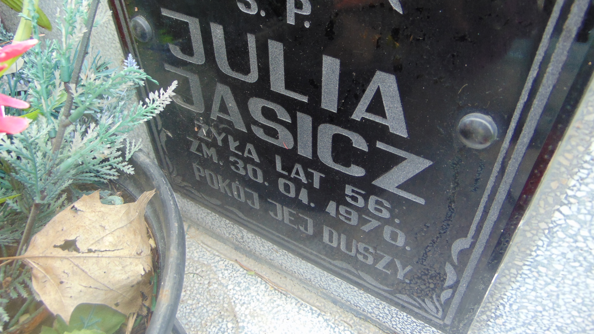 Julia Jasicz 1913 Tarnów - Grobonet - Wyszukiwarka osób pochowanych