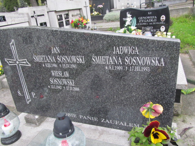 Jadwiga Śmietana Sosnowska 1909 Tarnów - Grobonet - Wyszukiwarka osób pochowanych