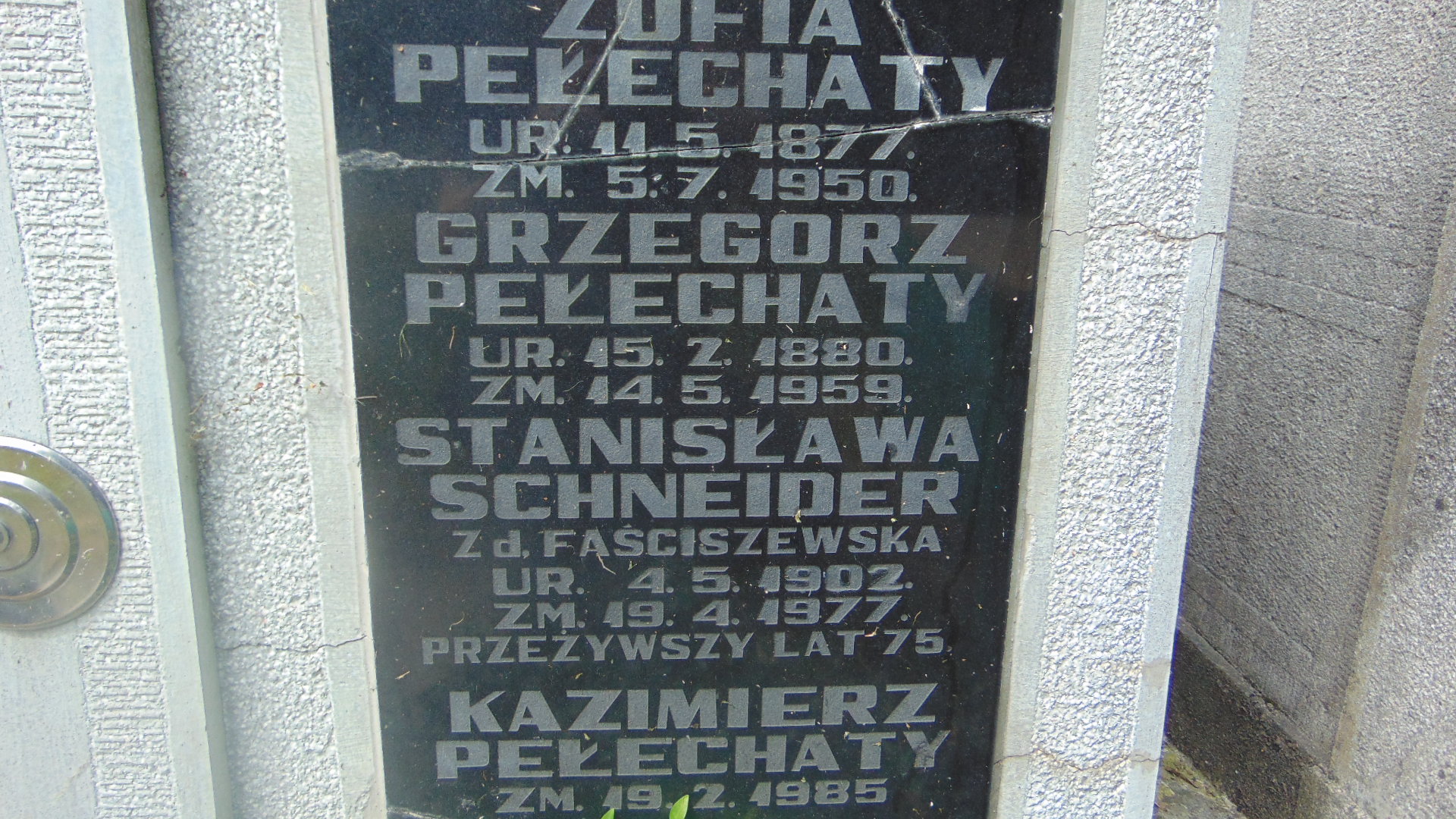 Barbara Pasek 1948 Tarnów - Grobonet - Wyszukiwarka osób pochowanych