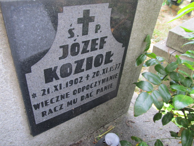 Józef Kozioł 1902 Tarnów - Grobonet - Wyszukiwarka osób pochowanych