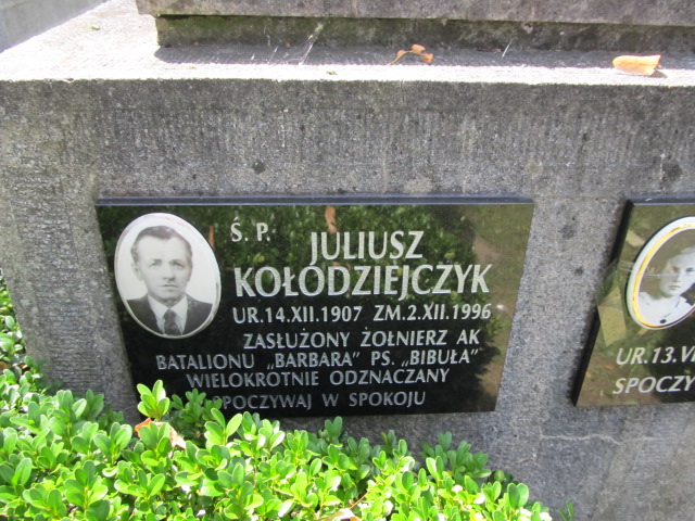 Wiktor Kołodziejczyk Tarnów - Grobonet - Wyszukiwarka osób pochowanych