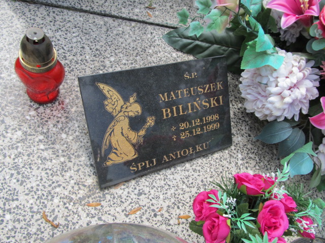 Zofia Wojnarowicz 1947 Tarnów - Grobonet - Wyszukiwarka osób pochowanych