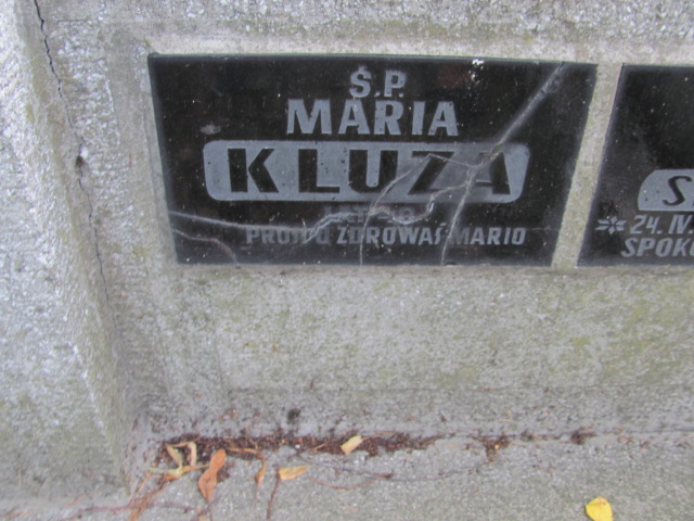 Maria Kluza  Tarnów - Grobonet - Wyszukiwarka osób pochowanych