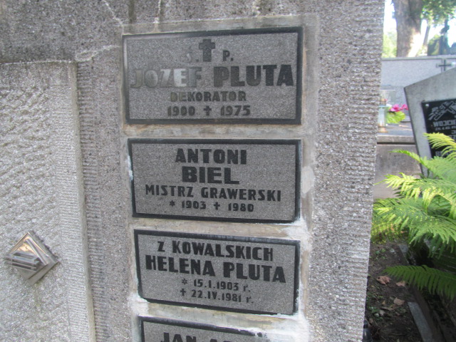 Józef Pluta 1899 Tarnów - Grobonet - Wyszukiwarka osób pochowanych