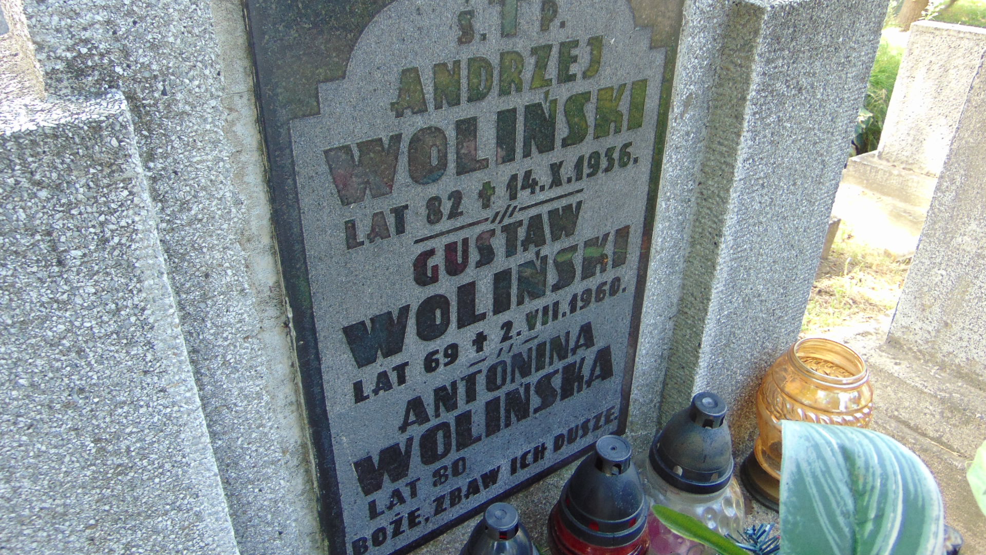 Gustaw Woliński Tarnów - Grobonet - Wyszukiwarka osób pochowanych