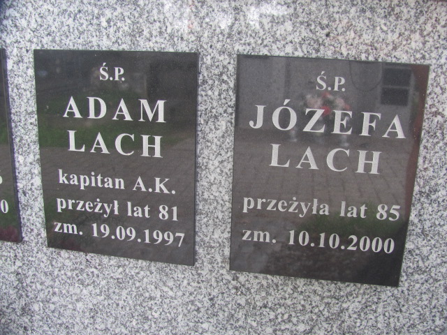 Adam Lach Tarnów - Grobonet - Wyszukiwarka osób pochowanych